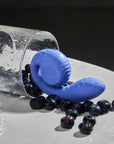 color_blueberry