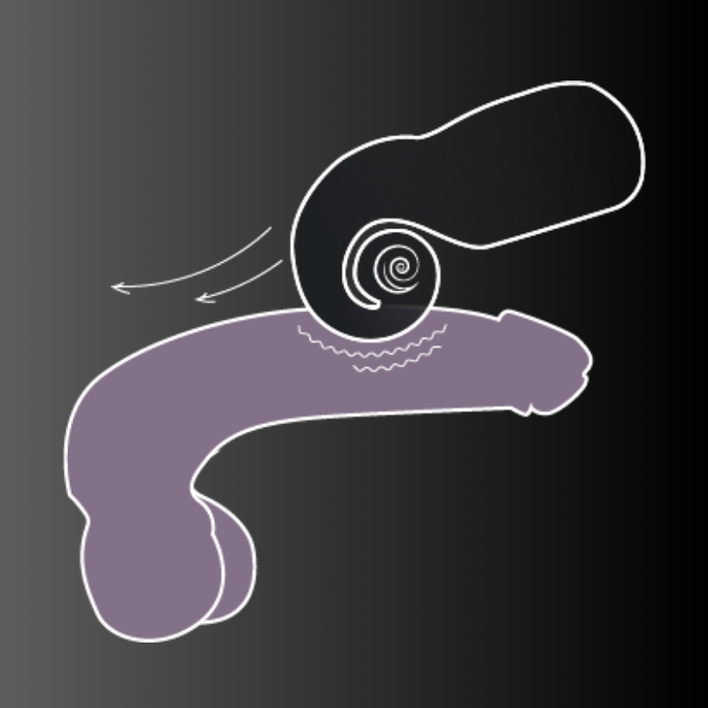 Snail Evo