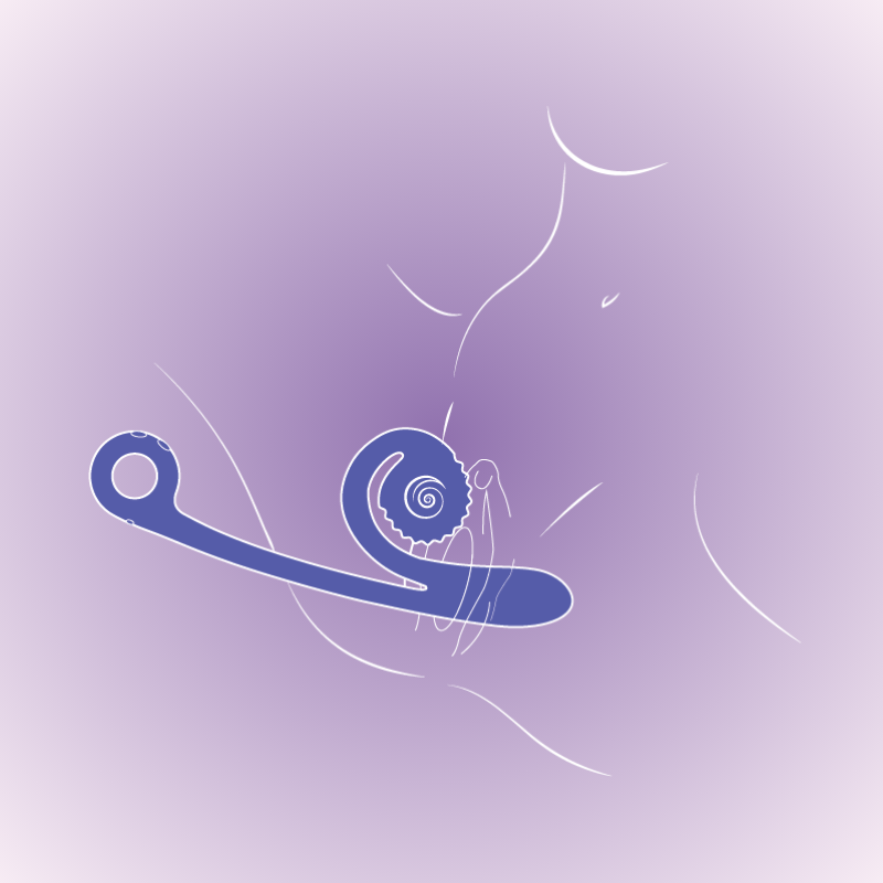 Snail Curve