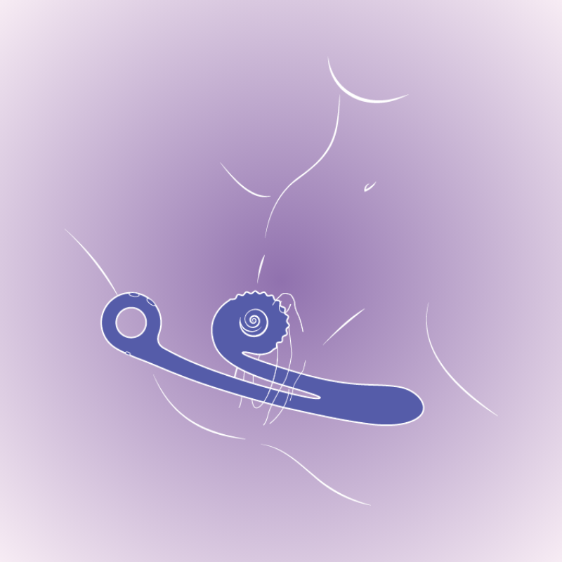 Snail Curve