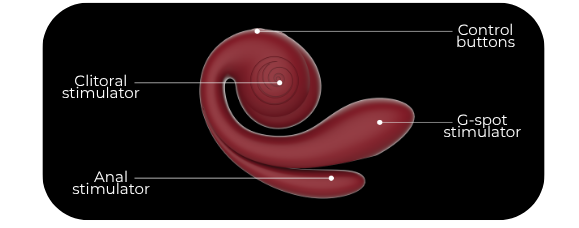 Snail Gizi Pro features